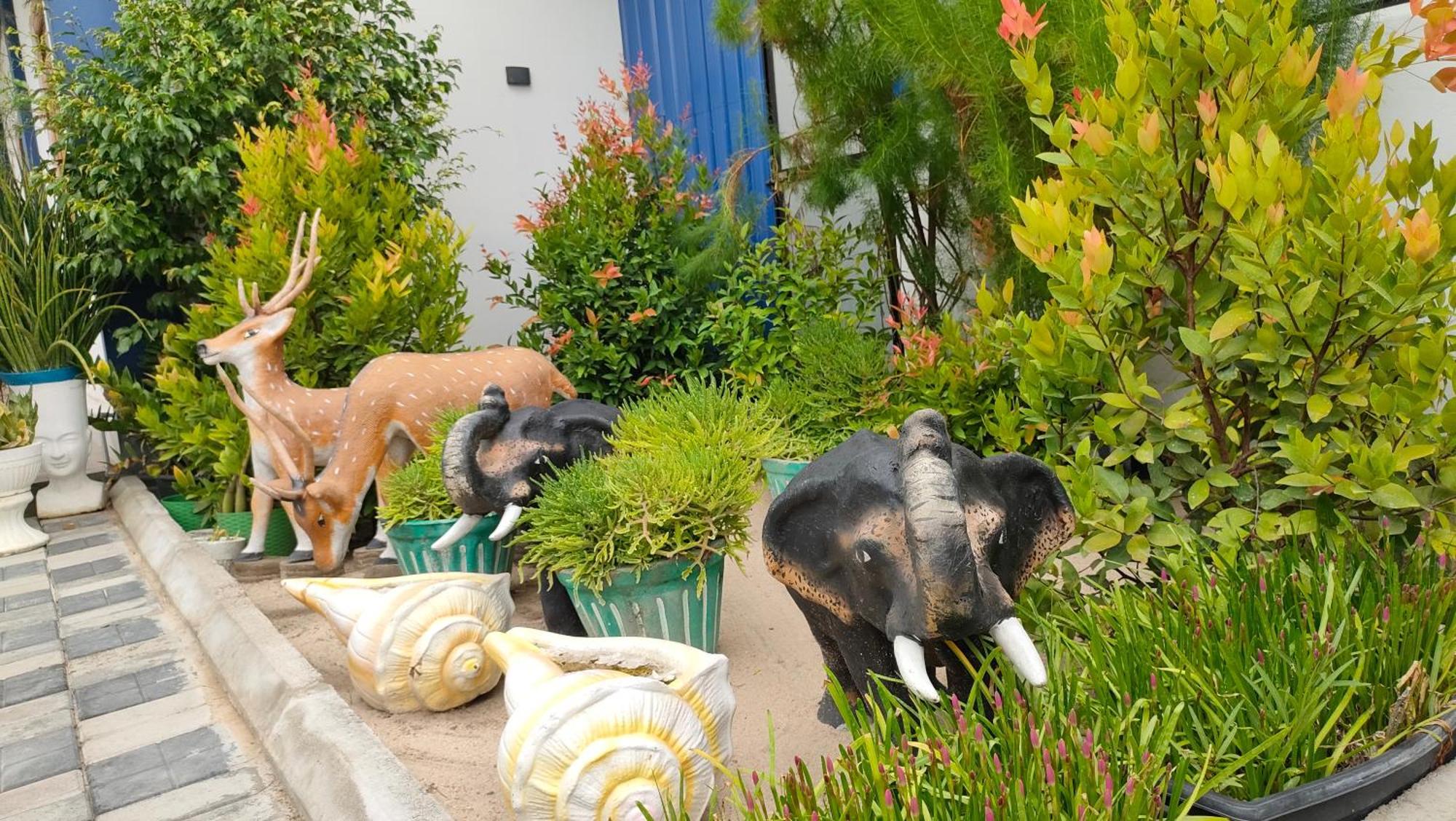 Victory'S Gardens Apartment มันนาร์ ภายนอก รูปภาพ